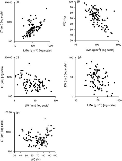 measuring leaf thickness errors|lma and leaf thickness.